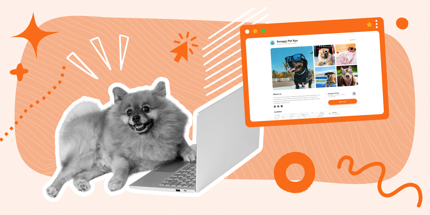 The Ultimate Guide to Pet Grooming Business Websites MoeGo